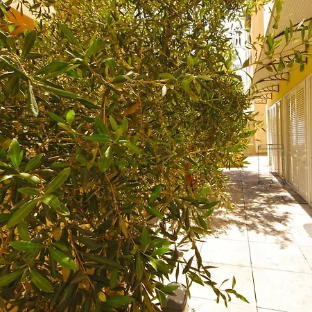 Studios Split Apartment Split
